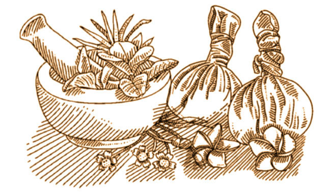  Sri Venkateswara Ayurvedic Hospital